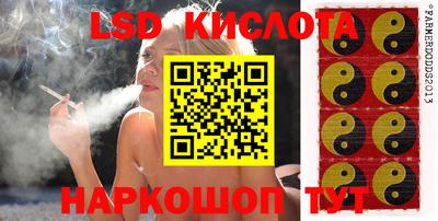 таблы Новозыбков